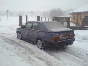 alfa sníh- zadek.JPG