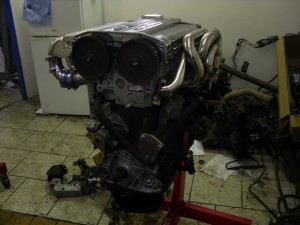 SDC11074.jpg